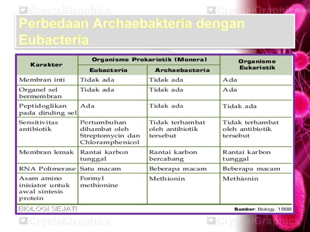 Wajib Tahu Contoh Soal Kelas 1 Subtema 2 Panca Indra Beserta Gambar Paling Lengkap Wajib Tahu Contoh Soal Kelas 1 Subtema 2 Panca Indra Beserta Gambar Paling Lengkap