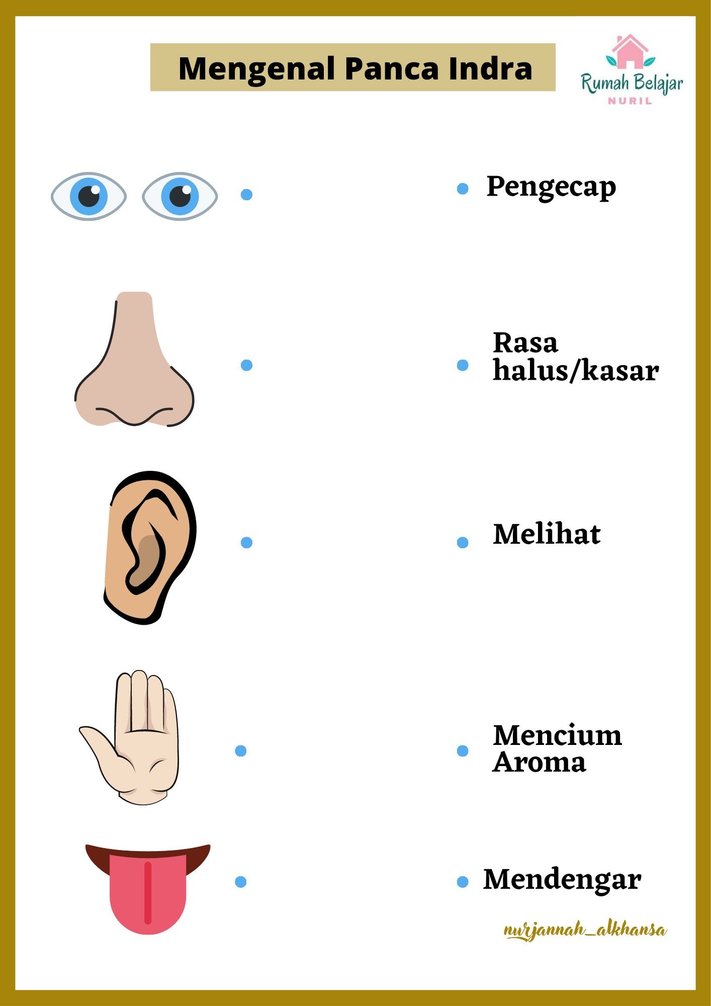 Wajib Tahu! Kumpulan Contoh Soal Kelas 1 Subtema 2 Panca Indra Paling Akurat Wajib Tahu! Kumpulan Contoh Soal Kelas 1 Subtema 2 Panca Indra Paling Akurat